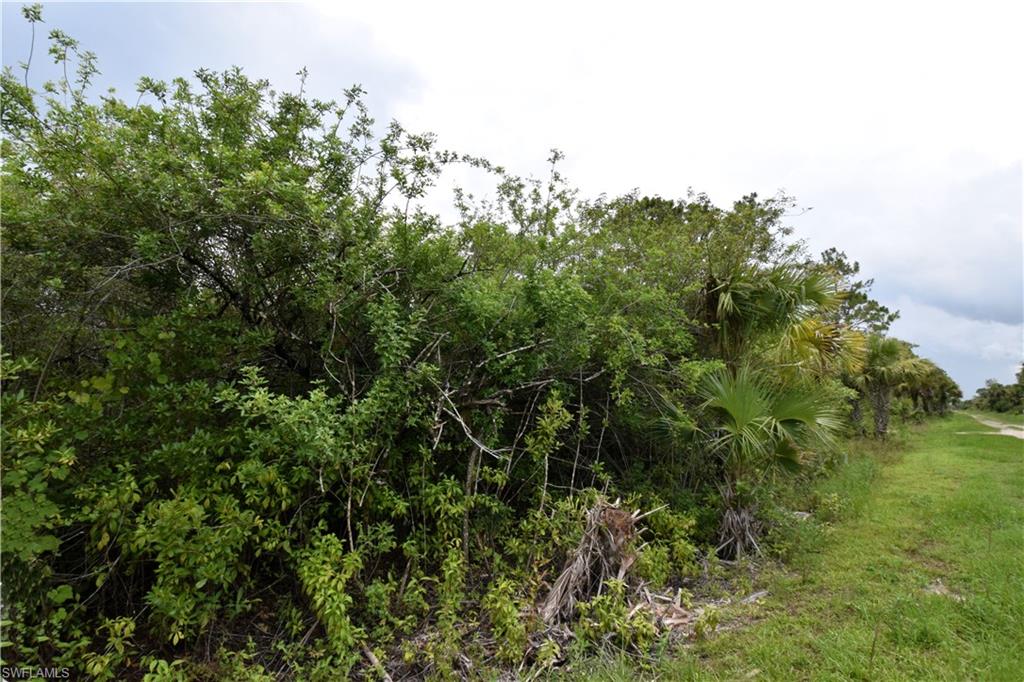 GOLDEN GATE ESTATES - Land