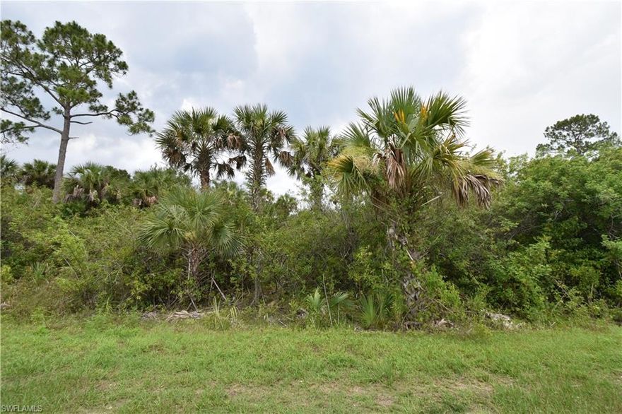Secluded, tranquil place! abundant vegetation. if you love Nature all around this is the parcel for you! The lot is located in Golden Gate Estates area, a subdivision with continuous growth. Many businesses within a reasonable drive distance. Access to Desoto Blvd S. There is no property number yet. The lot approximate location is marked with my sign.