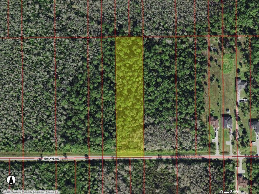 Beautiful lot Perfect area close to stores but privacy near crew bird rookery and swamp trails near fairground best priced lot in the area NO DEP CLOSING TO BE DONE BY TAMMY AT NAPLES TITLE
