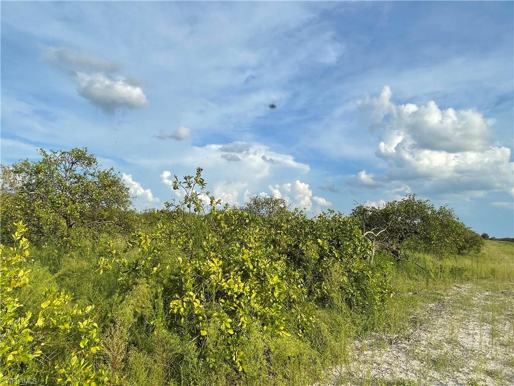 GERBER GROVES SEC 1 - Land