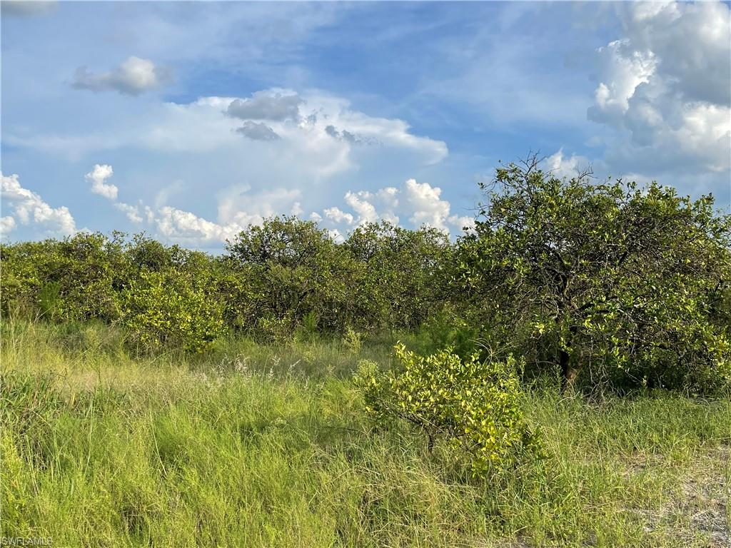 GERBER GROVES SEC 1 - Land