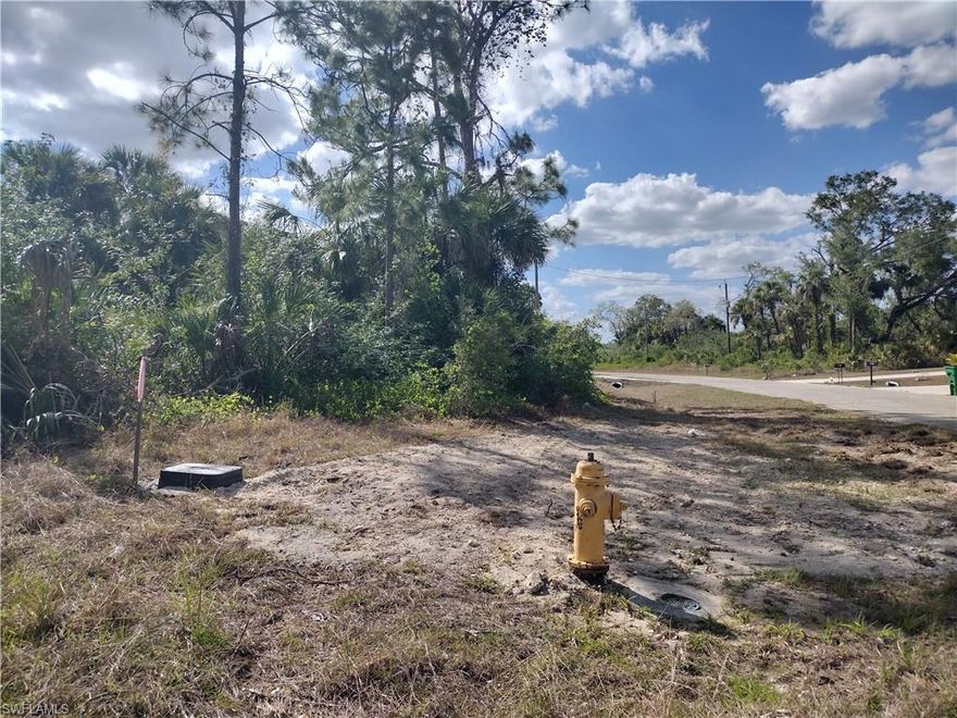 Wonderful lot in Port LaBelle Unit 3 with immediate utility access on a paved road surrounded by new construction. Beautiful stand of palm trees, with a mix of pine and oak. Lots come with central water and require installation of septic. No HOA, no time limits to build, and no impact fees.

Located near schools and shopping, only a few miles outside of the City of LaBelle. Close to state parks, wildlife areas, the Caloosahatchee River and not far from Lake Okeechobee. About 45 minutes to Fort Myers and 2 hours from Miami.