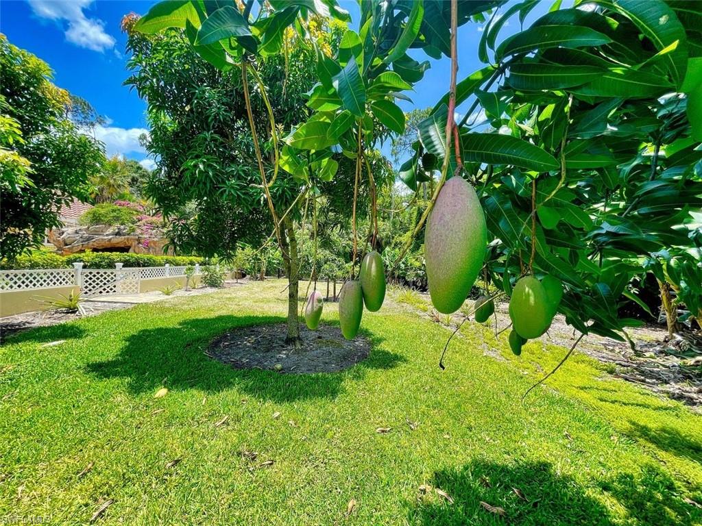 QUAIL WEST - Residential