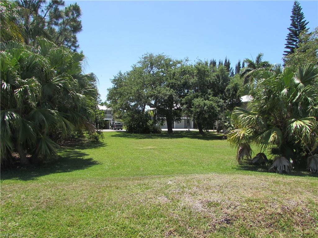 ISLE OF PINES - Land