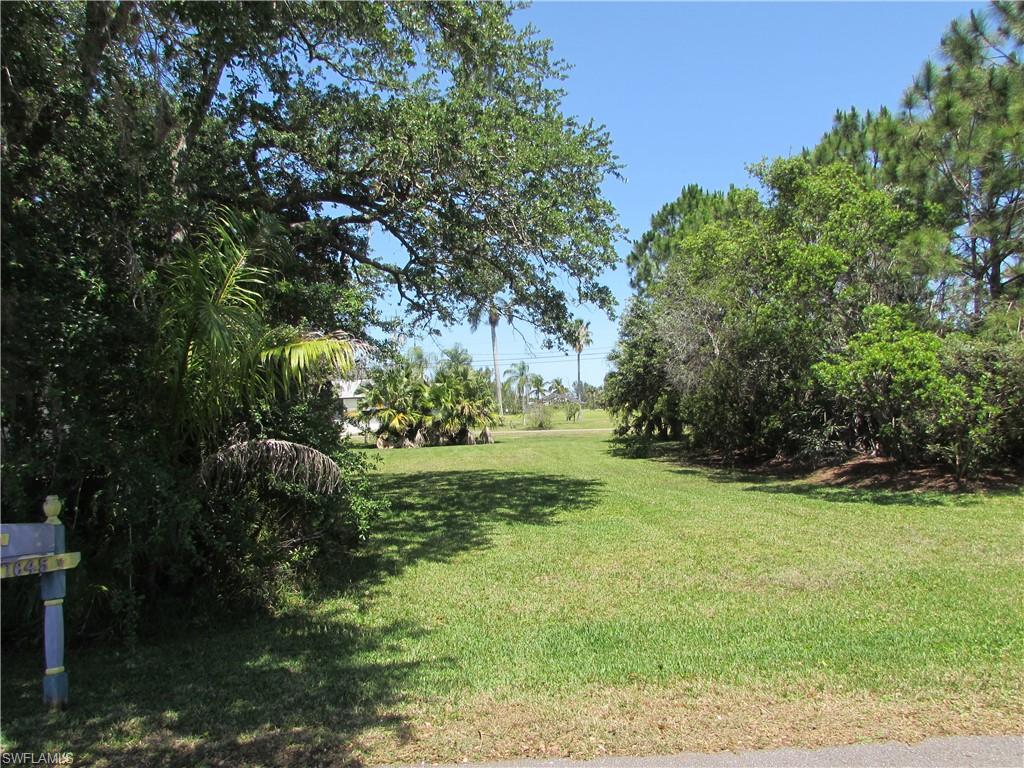 ISLE OF PINES - Land