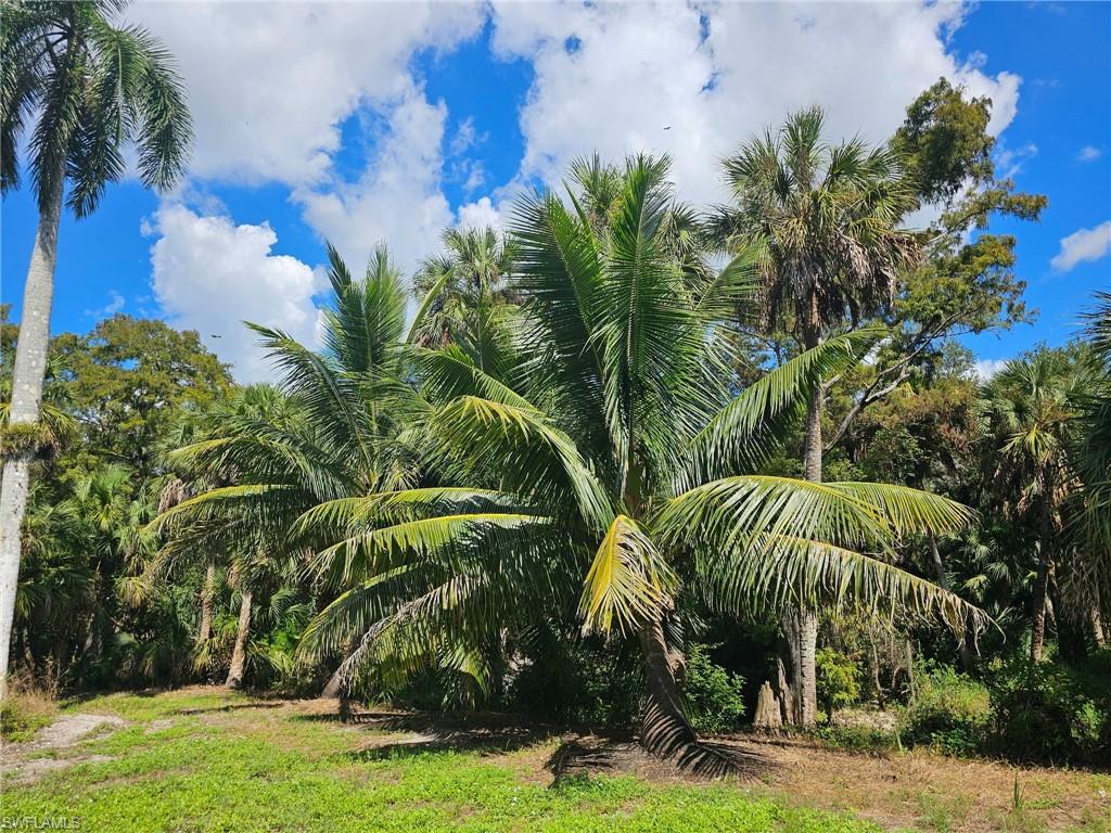 OAKLAND PARK TRAILER SITES - Land