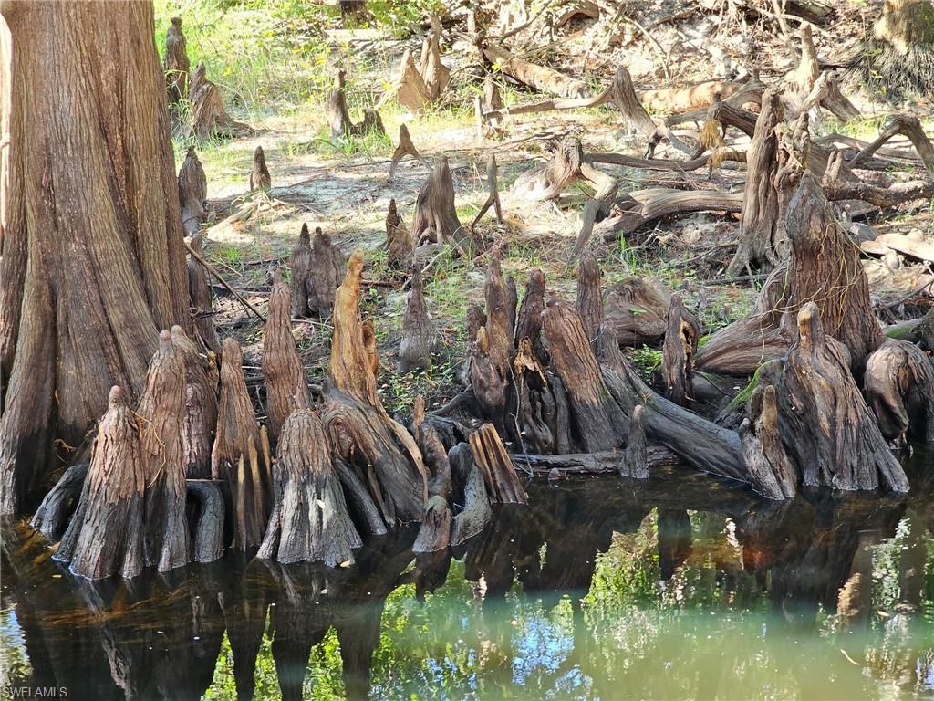 OAKLAND PARK TRAILER SITES - Land