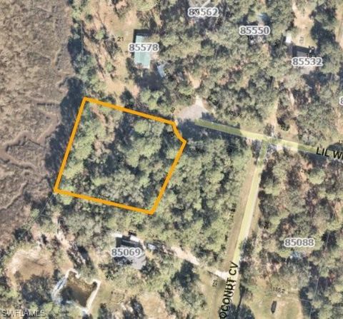 85580 LIL WILLIAM RD FERNANDINA BEACH FL 32034