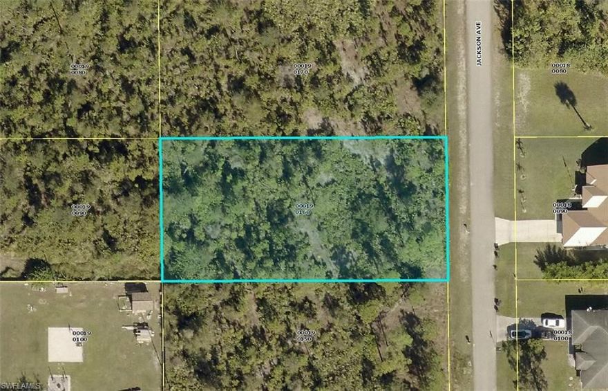 Build your dream home here! Easy access to SR82, Daniels Pkwy, Fort Myers Airport, Jet Blue Stadium, schools, churches, shopping, restaurants, and Fort Myers beaches. Come enjoy all that sunny SW Florida has to offer!