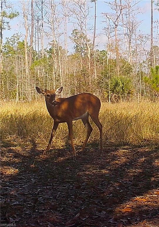 FORT MYERS - Residential