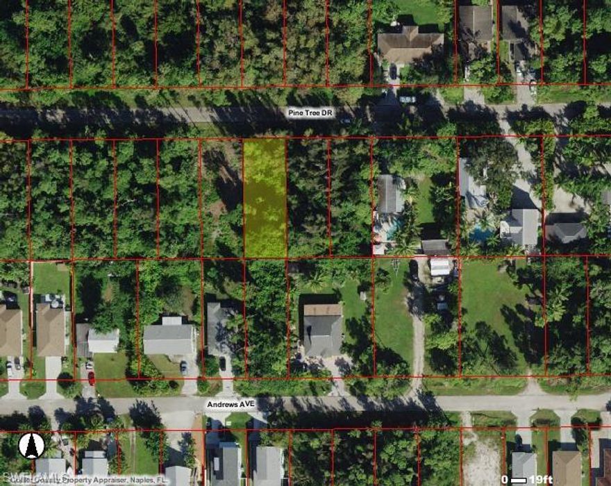 Hot Bayshore area. Very close to the Beach and Down town Naples.  No HOA . This is lot 41 , which is one of two lots in a row on Pine Tree Drive off Bayshore Drive. The two lots must be sold together . 
Southern facing lots , side by side in the hot Bayshore area .