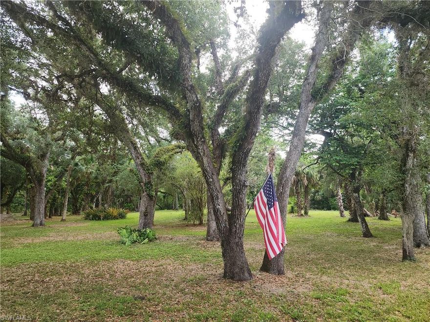 Discover the perfect blend of privacy, natural beauty, and outdoor adventure on this 3.89-acre fenced lot located near the serene Hickey Creek Mitigation Park. With direct creek frontage, this property offers a rare opportunity to enjoy a peaceful and relaxing creek setting with oak trees and cypress heads. Fully fenced and ready for your vision—whether you're looking to build, create a weekend retreat, or establish a private homestead—this property offers both tranquility and accessibility in a truly special location.