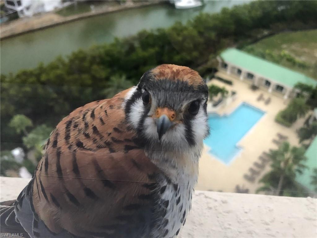 WATERSIDE AT BAY BEACH - Residential