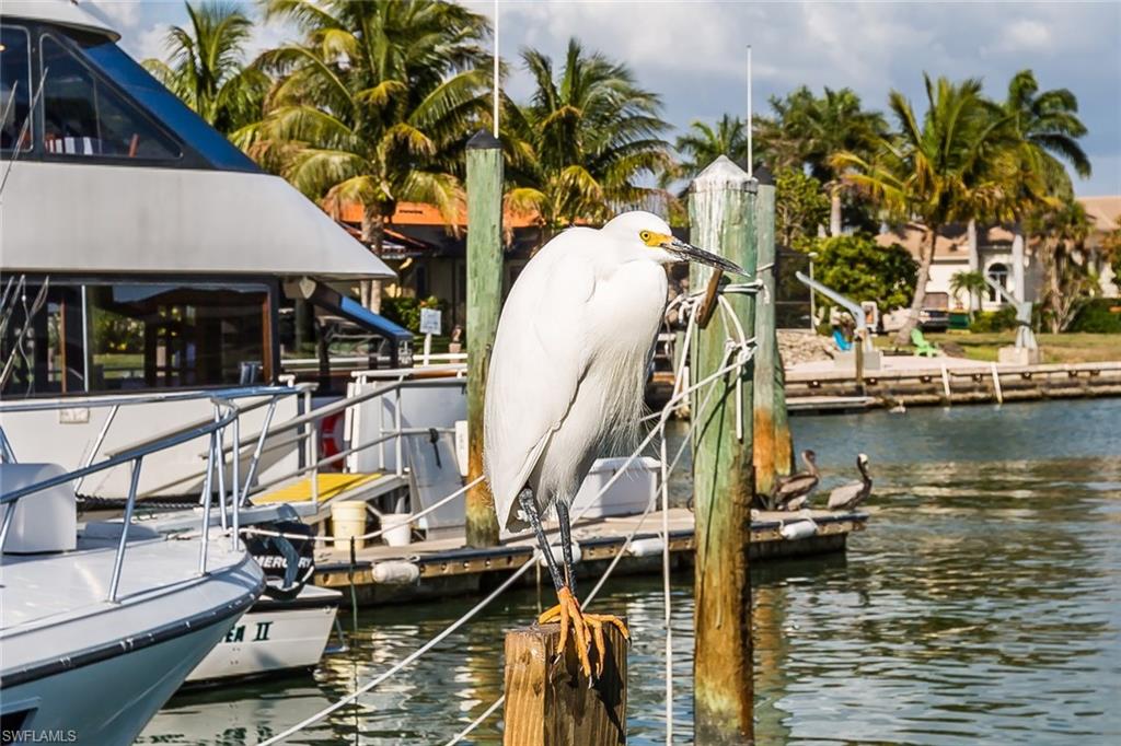 GULFVIEW APTS OF MARCO ISLAND - Residential