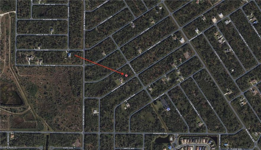 ATTENTION FOLKS! Here is your opportunity to own a piece of paradise in Sunny SWFL. Located in a beautiful and tranquil neighborhood, only a few minutes from shopping and dining. Build your dream home or keep as investment.