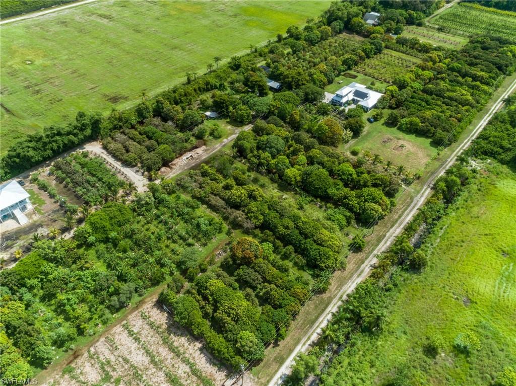 KREAMERS AVOCADO SUBD - Land