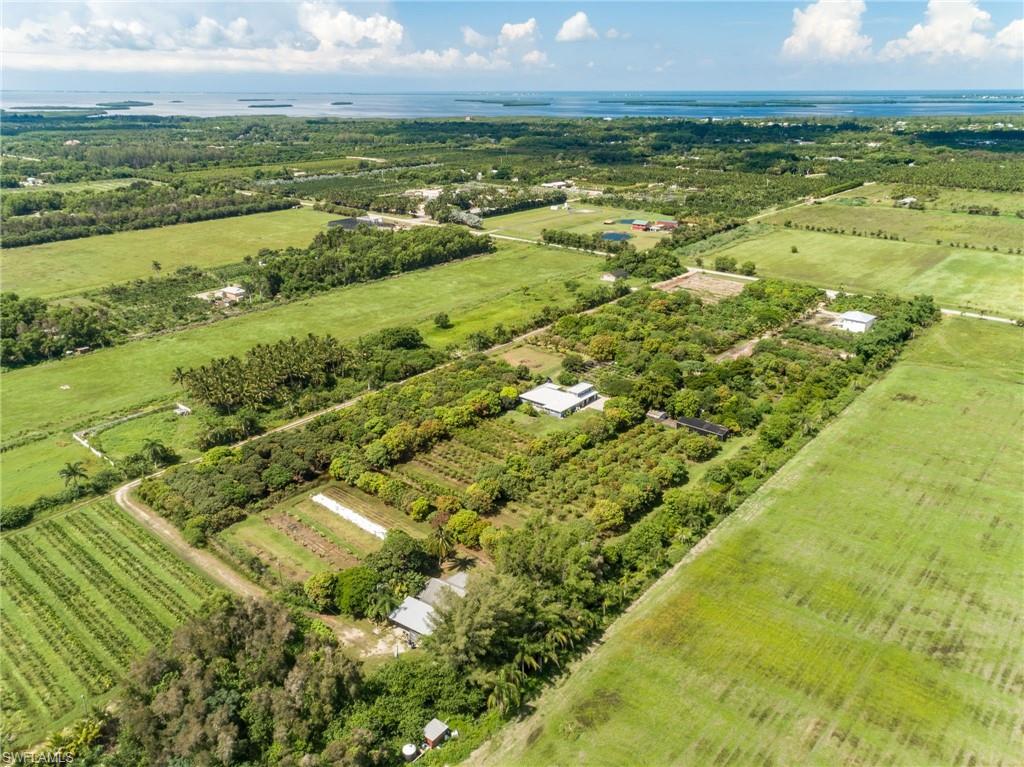 KREAMERS AVOCADO SUBD - Land