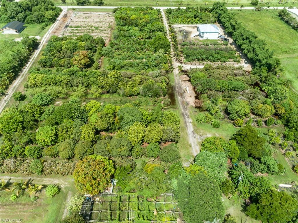 KREAMERS AVOCADO SUBD - Land