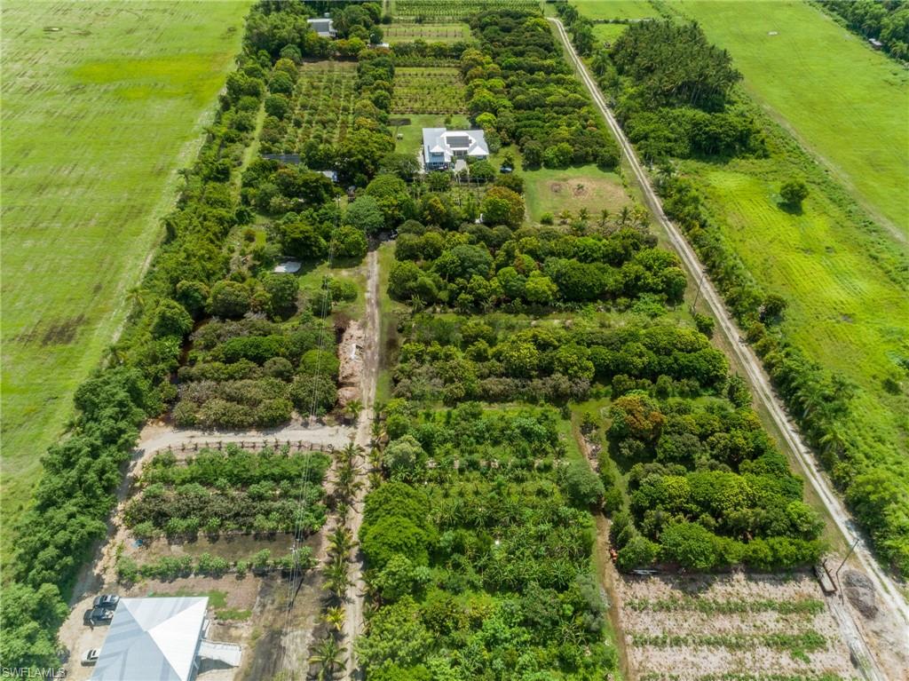 KREAMERS AVOCADO SUBD - Land