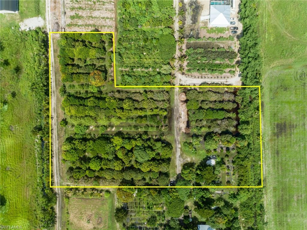 KREAMERS AVOCADO SUBD - Land