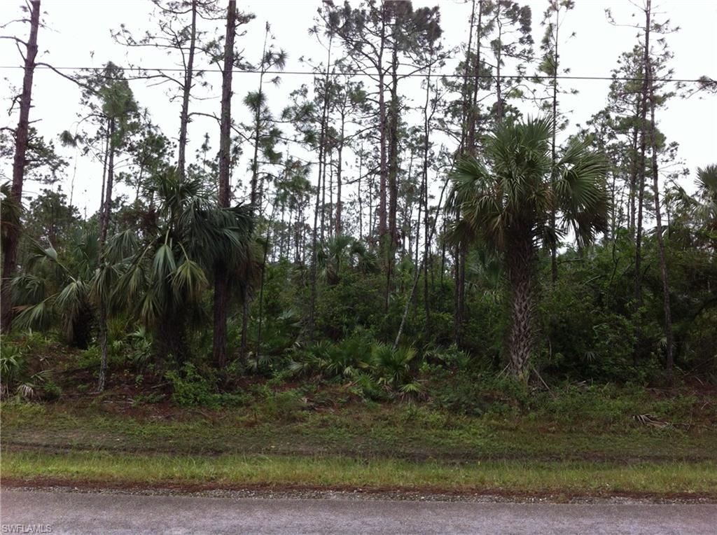 GOLDEN GATE ESTATES - Land