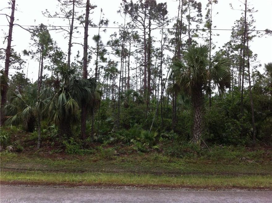 Enjoy the peaceful, country lifestyle of Golden Gate Estates, just minutes from the splendor and beautiful beaches of Naples, Florida. Build the home of your dreams on this beautiful 5 acre wooded lot. Plenty of room for a guest house and stables, and zoning allows 2 horses per acre. Property could be subdivided into 2 parcels. Wetland determinations are recommended on all properties in Golden Gate Estates. No wetland information available on this property. Agents see confidential remarks.