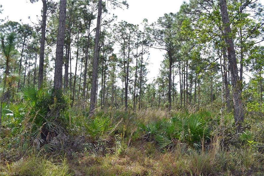 This is a one of a kind 4.98 acres of beautiful pine land with an expensive 2 story home next door at and 1870 Angela Road and a brand new home across the street.  Angela Road West is a private road with a prescriptive easement.  The east property line is fenced and there is electric power across the street at the new home.  Property is definitely uplands but get an environmental study to re-assure you.