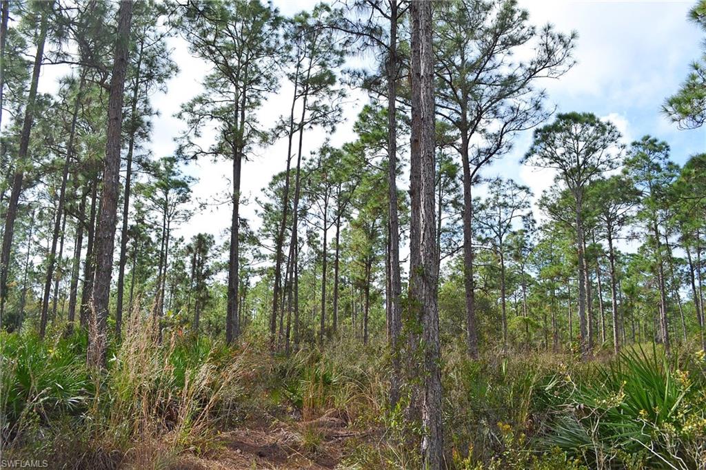CORKSCREW ISLAND - Land