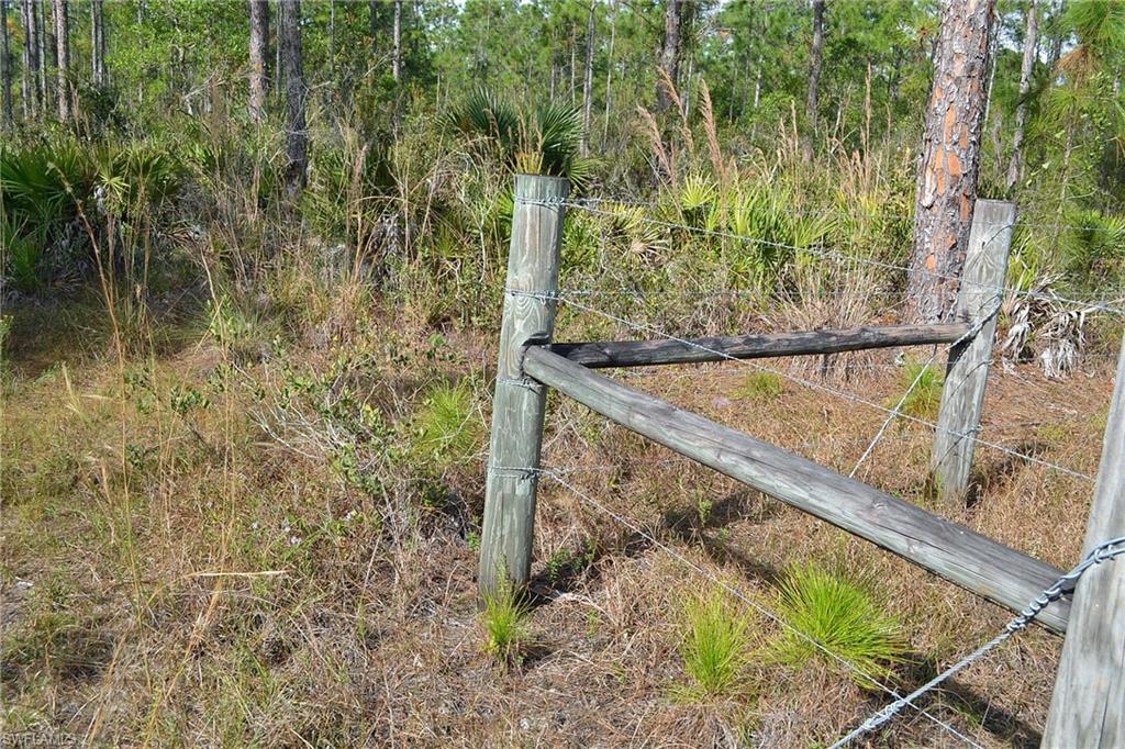 CORKSCREW ISLAND - Land