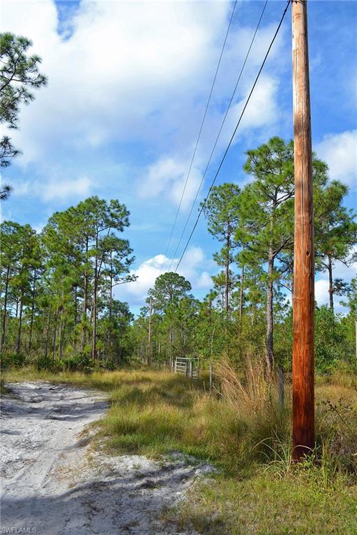 CORKSCREW ISLAND - Land