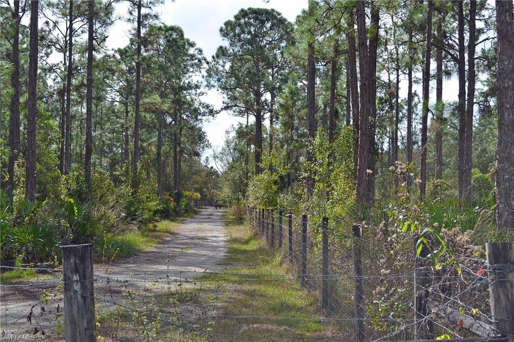 CORKSCREW ISLAND - Land