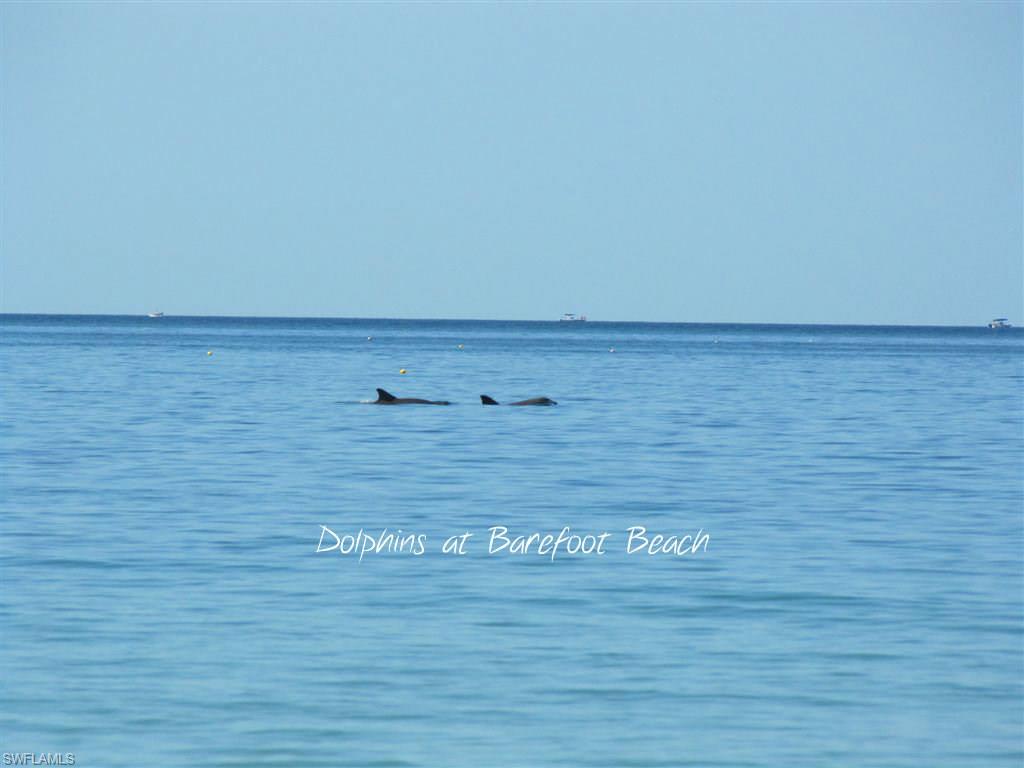 PINECREST HAVEN - Residential