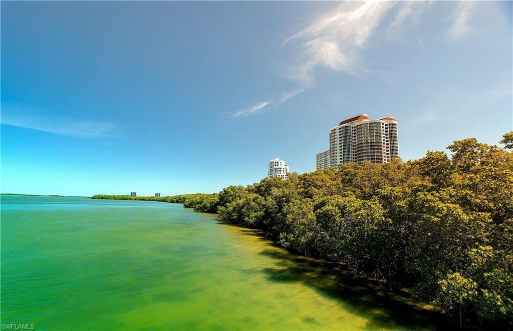 SANDPIPER AT BONITA BAY - Residential