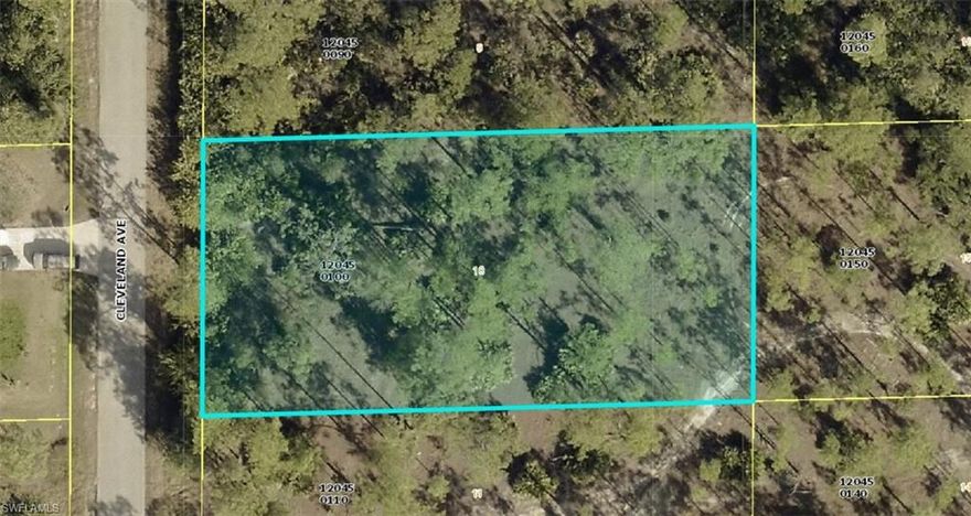 Nice half an acre of land waiting for you! Secluded from all the noise and city night lights. This perfect piece of land is terrific for those seeking privacy and tranquility.