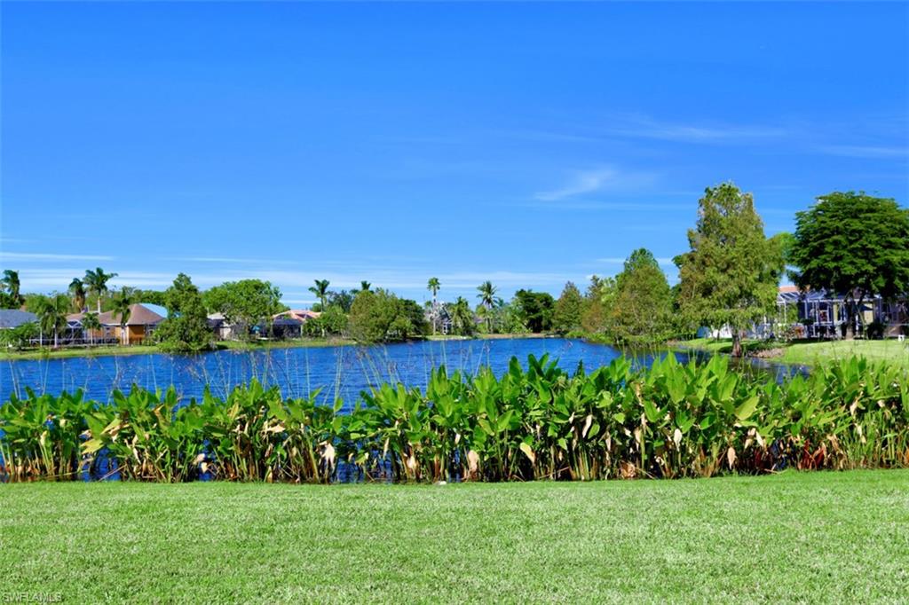 CYPRESS PRESERVE - Residential