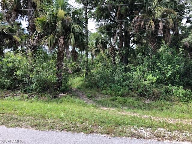 GOLDEN GATE ESTATES - Land