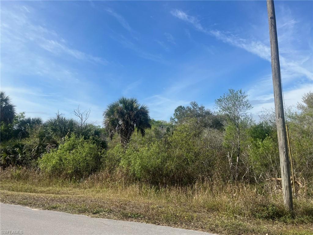 GOLDEN GATE ESTATES - Land