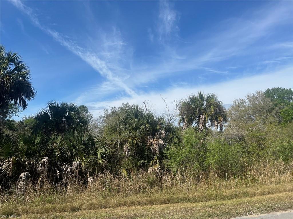 GOLDEN GATE ESTATES - Land