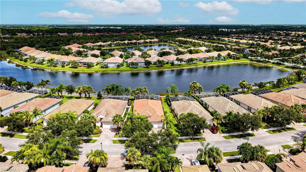 8443 Benelli CT