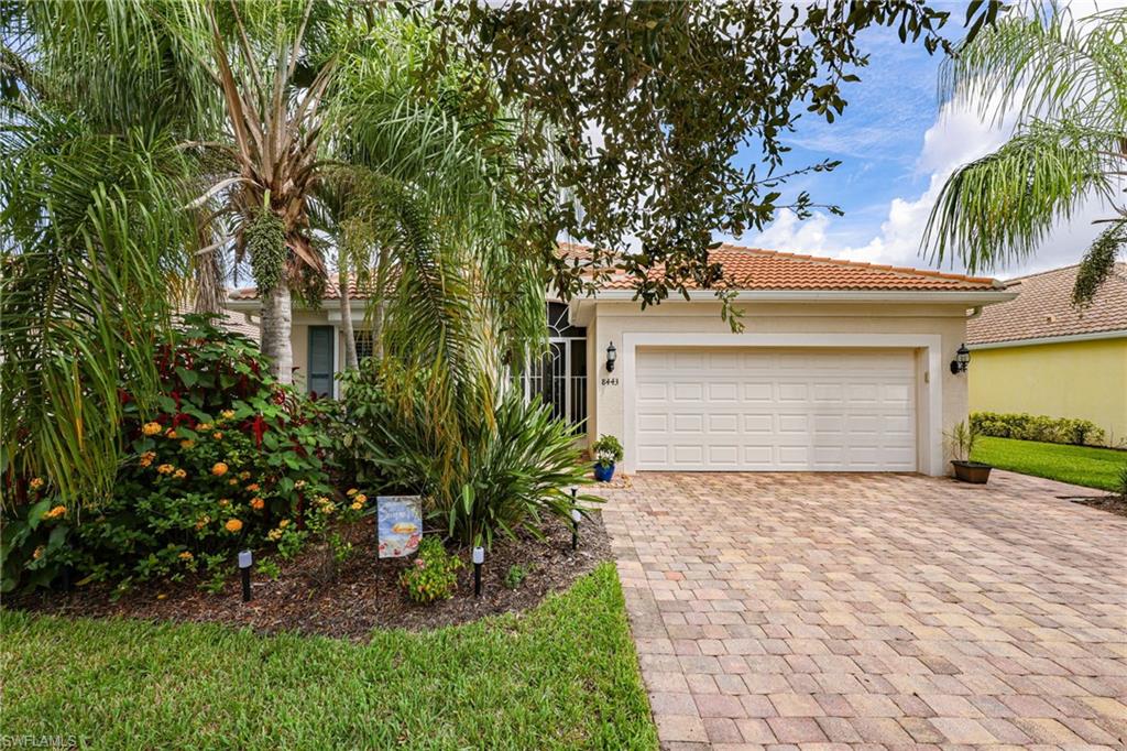 8443 Benelli CT