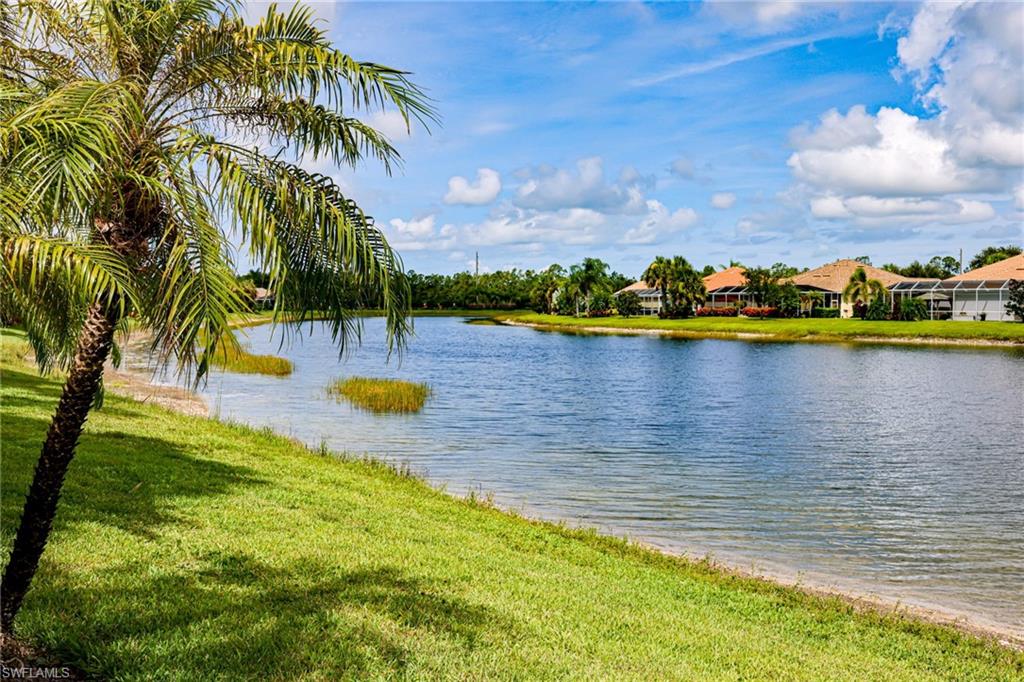 8443 Benelli CT