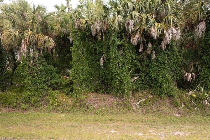 2.5-acre partially fenced lot, 100% upland, DEP report available. Own one or all three 2.5 acre lots.