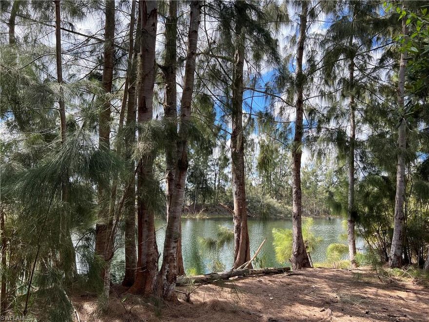 Build your dream home on this waterfront lot!  A rare find and the most spectacular lake view in Lehigh Acres!  Perfectly quiet neighborhood in a rapidly developing area.  Easy access to main roads to Fort Myers and all that south west Florida has to offer:  Spring training for the Red Sox and Twins, world-class and casual dining, ever-expanding shopping areas, year-around sunshine and miles of gorgeous sandy beaches!  It doesn't get much better than this!  Call today for more information.