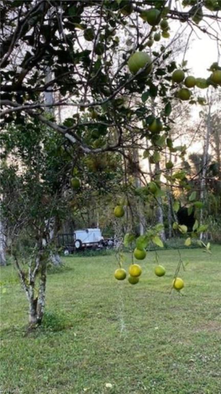 GOLDEN GATE ESTATES - Land