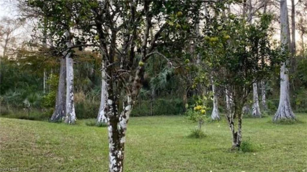 GOLDEN GATE ESTATES - Land