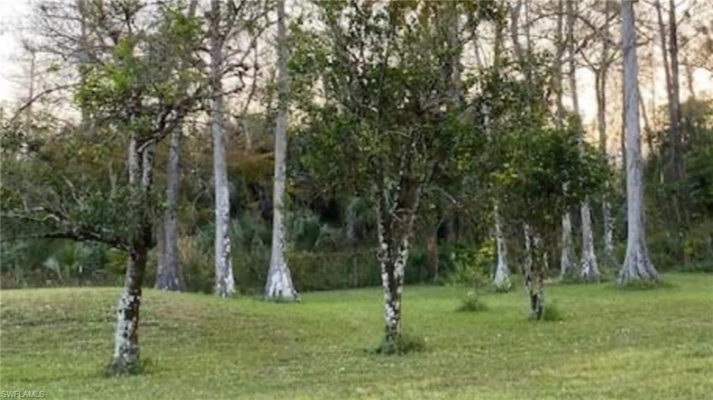 GOLDEN GATE ESTATES - Land