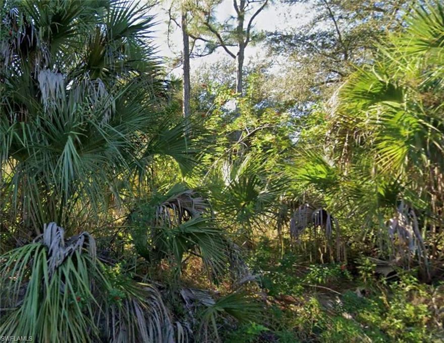 Vacant residential lot in Lehigh Acres ready for your new construction project or dream home. Convenient location with auto many amenities.