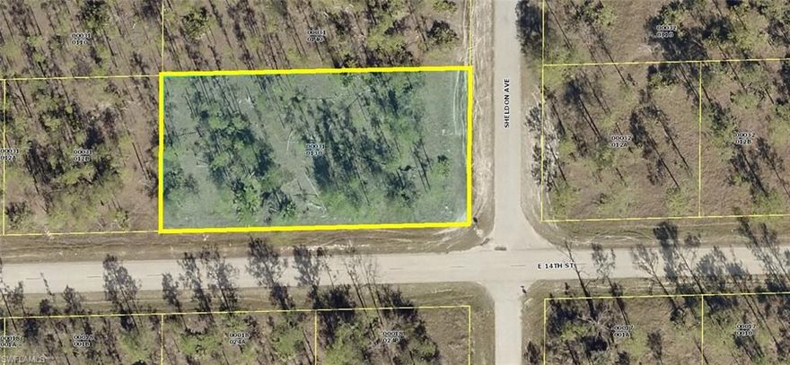 Very Nice high and dry generous oversize 1/2 Acre EXTREMELY Rare Corner wide & deep homesite (width 105' x 210' deep +/- ... 22,050 Sq. Ft.) in a very quiet area of nicely kept single family homes within LEHIGH ACRES. This property has most tall thinned pines with low secondary growth and grasses with highly desirable Western and Southwestern sunset views at the rear of home site with quick and easy access to Joel Boulevard, Palm Beach Boulevard (State Road 80), Lee Boulevard, shopping, restaurant, employment, medical care, SWFL International Airport, Caloosahatchee River, boating, beaches and all that beautiful Southwest Florida has to offer. Eastern morning sunrise views facing the roadway. County maintained paved roads with power and phone lines at the street. Build your dream or vacation home now and/or save this special oversize 1/2 Acre home-site for later. This unique property previously sold for $100,000. Don't miss this unique opportunity to purchase this premium home-site now for only $11,995 with $0 (ZERO) down, no credit check or income verification for ONLY $98.00 per month payment. Personal checks OK. Call today... you'll be so glad you did.