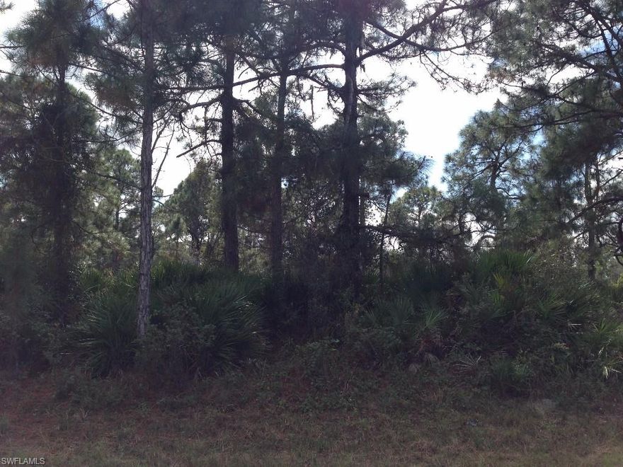 This is a gorgeous lot located in a wonderful area near Sunshine Blvd. and Cemetery Road.  There are nice homes on 56th St. W, yet still plenty of privacy.  This lot is just west of Lake Okeechobee and just east of Fort Myers.  A wonderful location to get the city life and still be close to boating and fishing.  **Seller also has 68th St W .35 ac listed $4,399 w/ MLS# 215063025.  Very close to this listed lot.  Multiple lot purchase available.