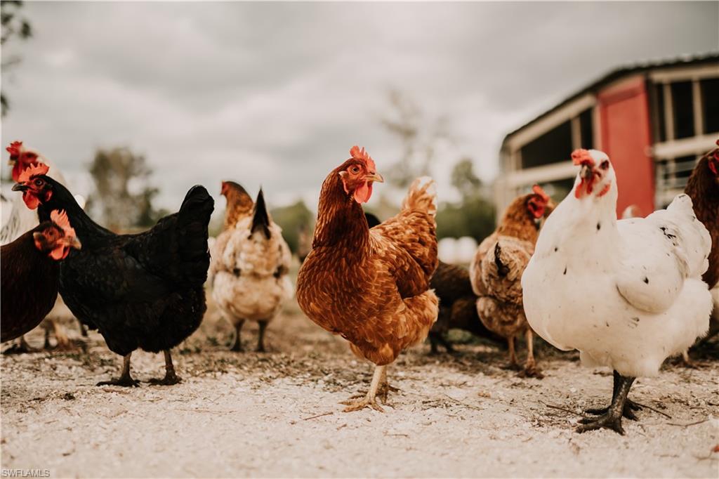 NOT APPLICABLE - Residential Lease